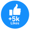 Facebook - 5.000 Likes